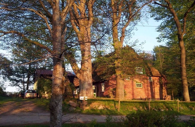 Maison de toit romantique au toit de chaume