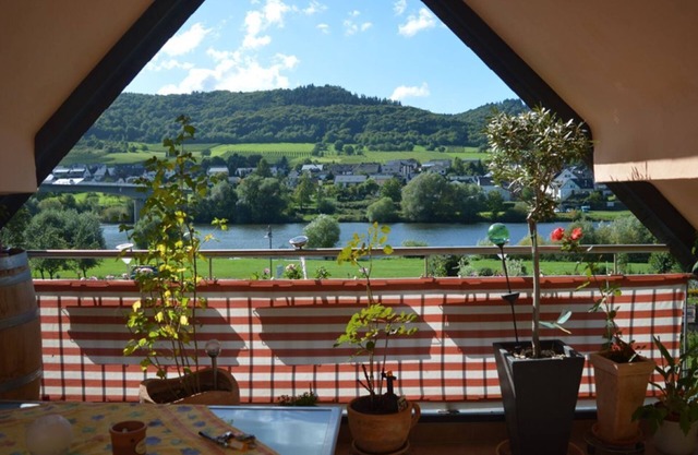 Romantic winegrower's house with Moselle view / sole use