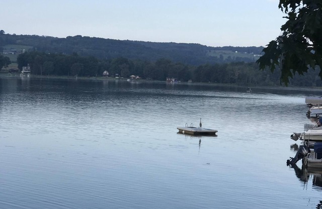 "Ron golden pond" est un endroit pour faire des souvenirs, une maison spéciale avec une grande énergie.