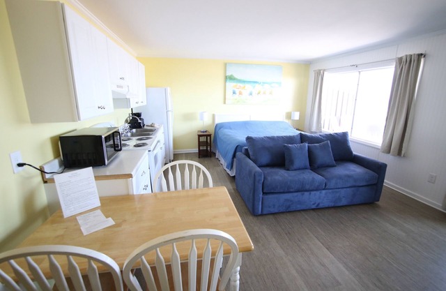 Room #207 Efficiency King w/Kitchen Dog NO