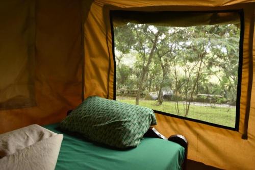 Room in BB - Red Rocks Rwanda - Safari Tent Twin