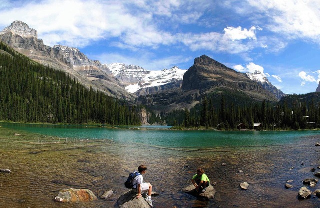 Room in Incredible Banff Location! + Hot Pools