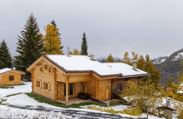 Rosaline - Large and cosy Swiss Chalet with beautiful views