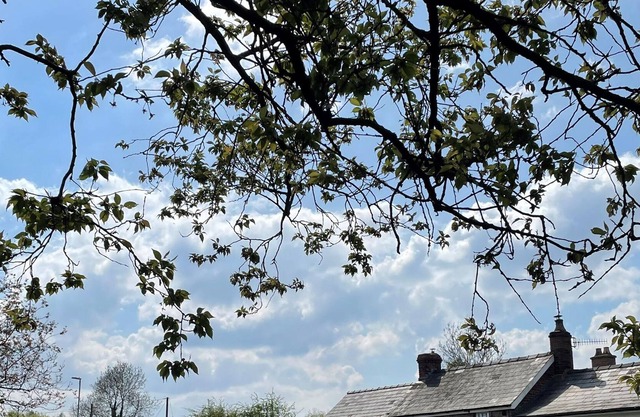 Rose Cottage, ABERGAVENNY