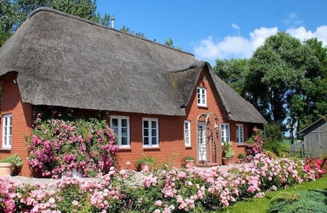 Rosenkate, Allemagne