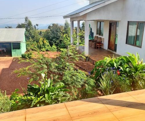 Ruhija Gorilla Guest House