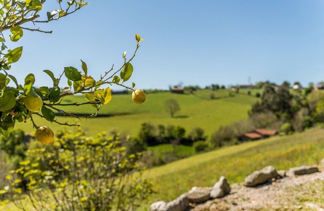 Appartement rural situé dans un cadre naturel et proche de la plage