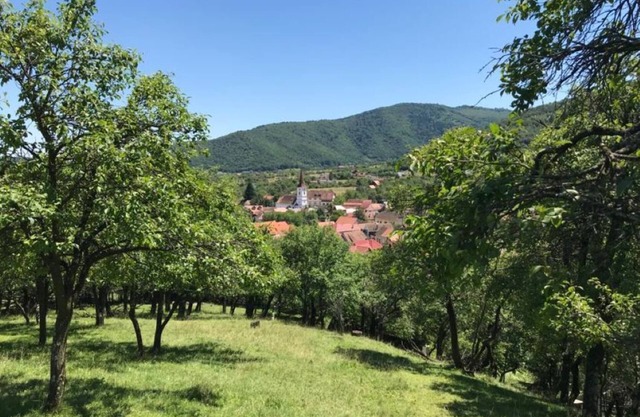 Maison familiale rurale, récemment rénovée, située dans un authentique village roumain
