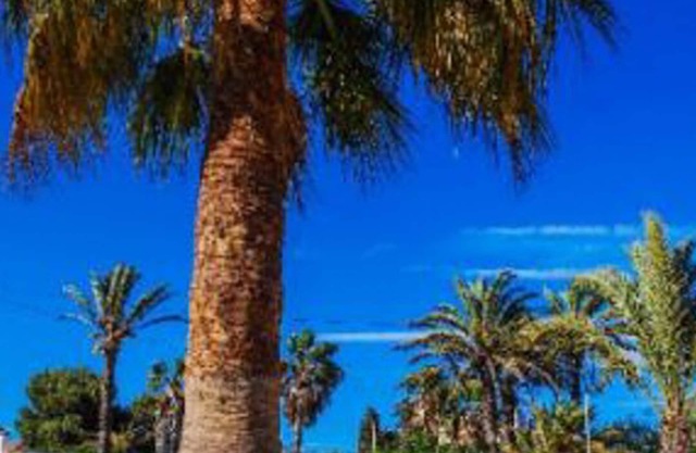 Cottage à La Manga idéal pour les familles, les animaux