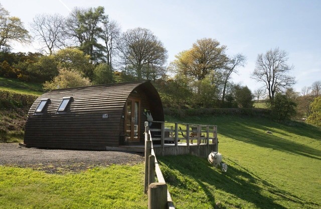Hot Tub-Pet Free-Cabine-Douche