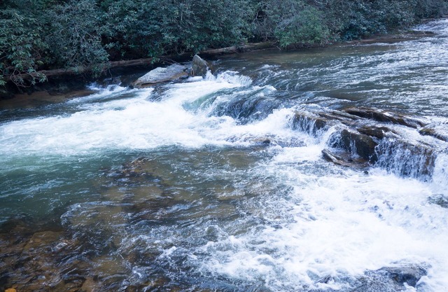 Rushing River Log Cabin en Géorgie Mountain Wine Country près de Dahlonega