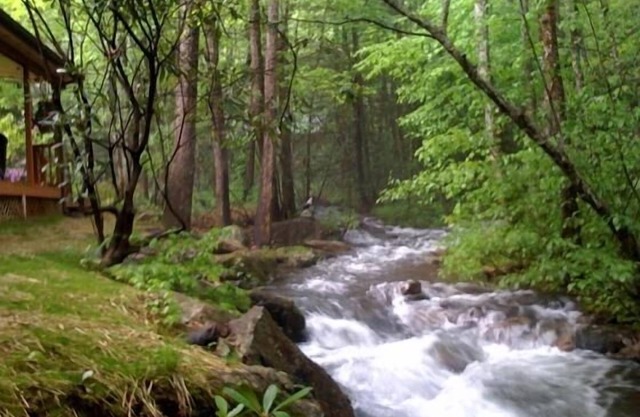 Rushing Waters - À quelques pas du ruisseau!