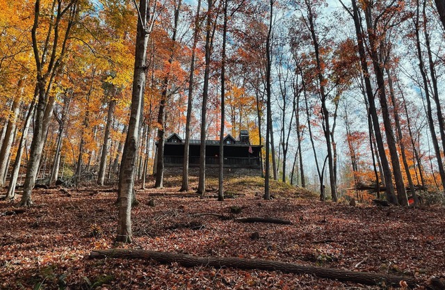 Rustic Appalachian cabin, 6+ acres, creek, 5 min from Dahlonega & wineries