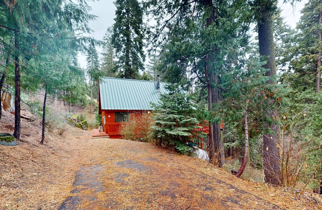 Cabane rustique et favorable aux chiens dans la forêt - parfaite pour les escapades toute l'année