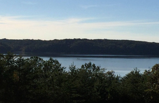 Chalet rustique avec vue sur le lac Pickwick