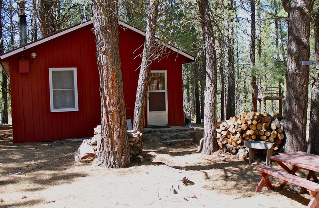Rustique Cabin- "Squirrelville"