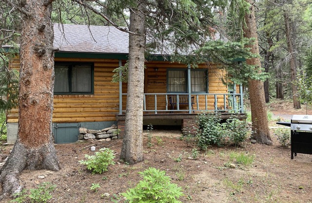 Rustic cabin