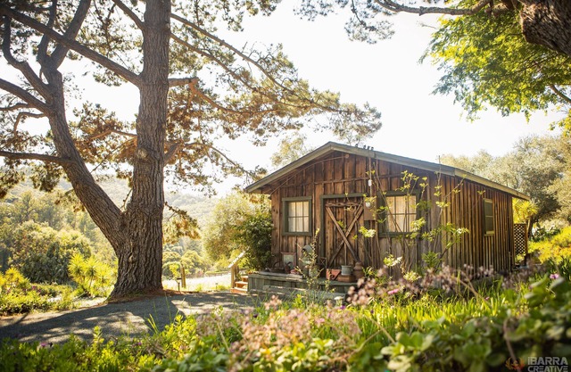 Venez vous détendre à la cabane de l'olivier