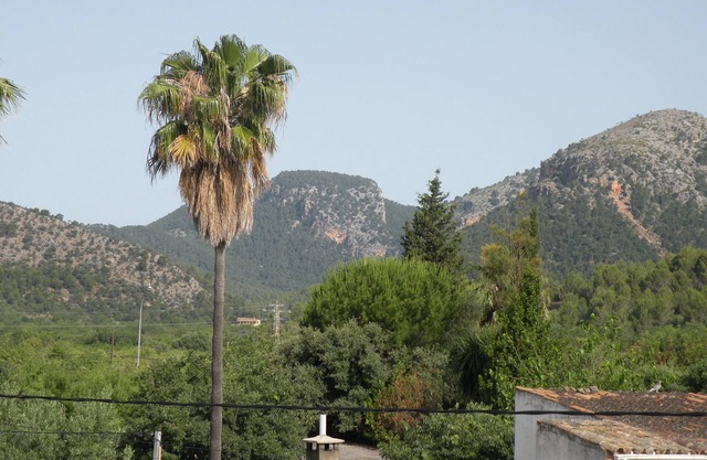 Maison de campagne rustique, entourée d'amandiers, quartier calme.