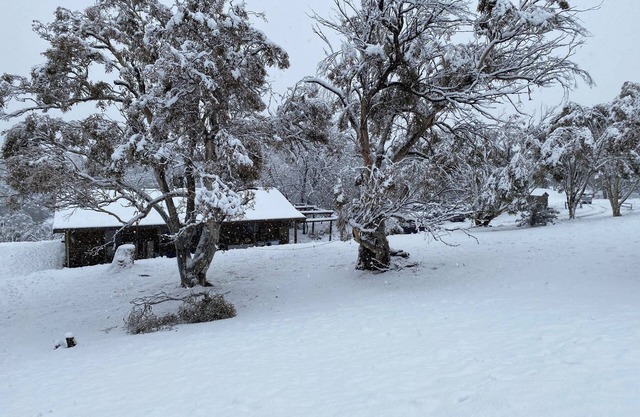 Rustic Log Cabin sur 100 acres au cœur des Snowy Mountains