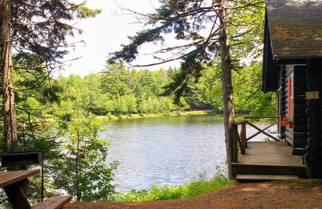 Pet-Friendly Cottage entièrement équipée avec Vue sur l'eau dans Downeast Maine, 4 couchages
