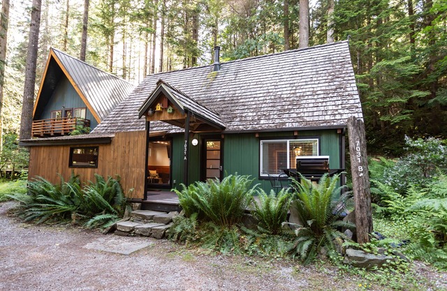 Rustic Mountain Hideaway ~Hot Tub, EV charger, wood stove, Pets welcome !