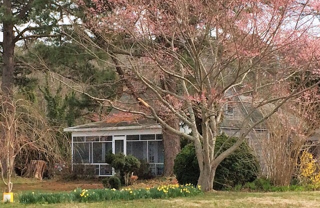 Cottage pittoresque rustique avec des vues spectaculaires
