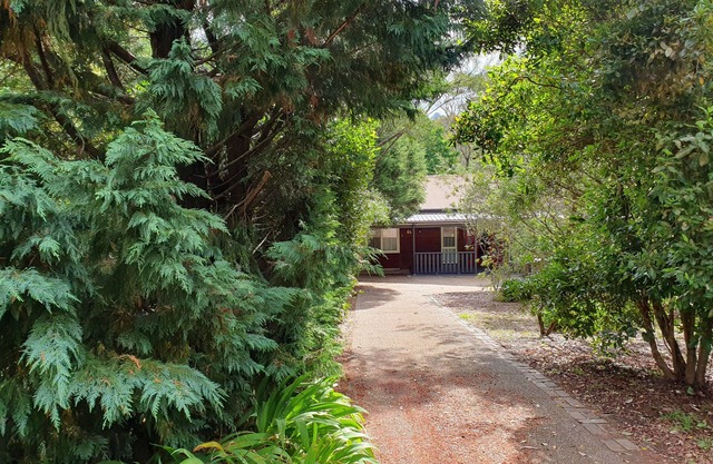 Rustic Queen of Leura
