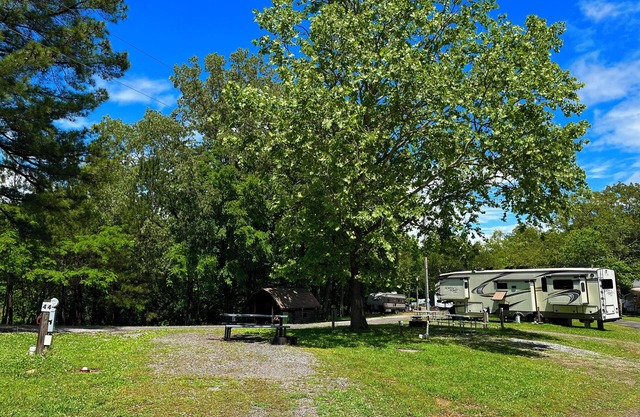 RV Site #44 Pull Through- camping 55ftx37ft