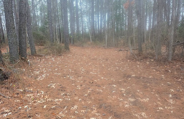 RV Site On Blanchard Farm -MAX RV LENGTH 24 FT