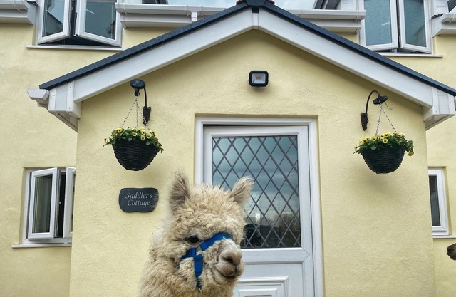 Saddler's Cottage, CLUNDERWEN
