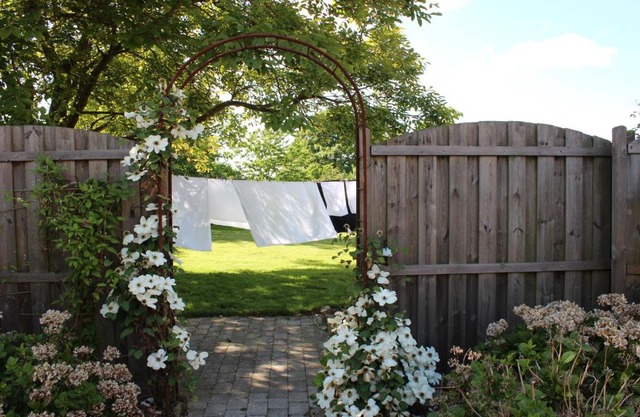 Safine B&B