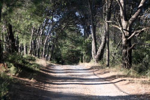 Saint Paul le Marseillais Gites