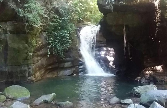 Sana - Aluguel Econômico