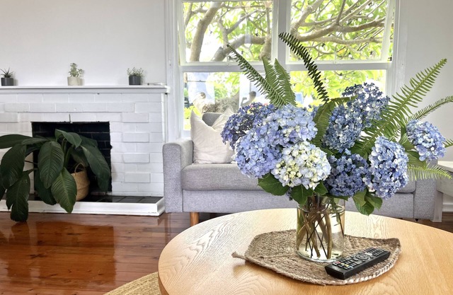 Sandon Beach Cottage-Beach, escarpment and a half pipe. Pet friendly!