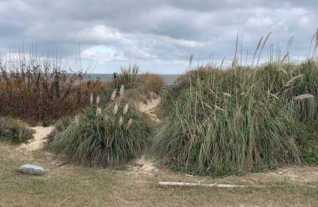 Sandy Dunes BeachFront Cottage - Beach Front
