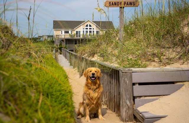 SANDY PAWS: Open May weeks reduced with FREE pool heat! Oceanfront, elevator!