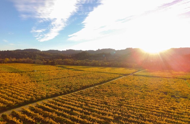 Santini Farmhouse -- Beautiful Italian style Villa, Hot Tub, Vineyard Views