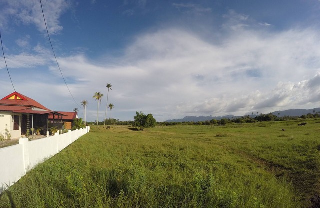 Sawah Padi Villa - Vues sur les rizières
