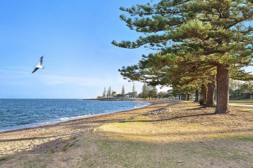 Scarborough Beach Resort Brisbane