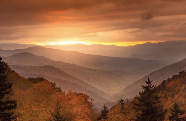 Vue panoramique sur les montagnes, confort de la maison, traces du centre-ville de Gatlinburg