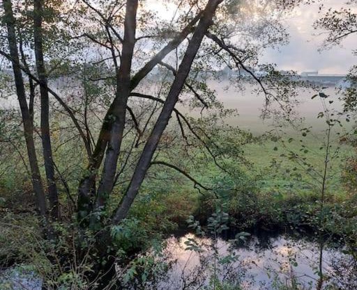 Schöne Wohnung direkt am Bach