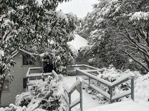 Schuss Alpine Club, Falls Creek