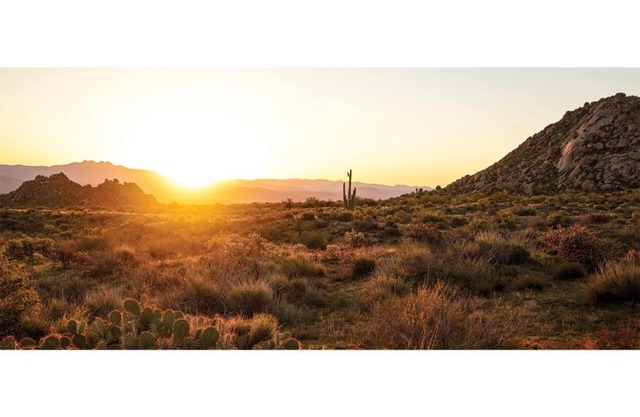 Scottsdale Links Resort 2023 Waste Management Golf Tournament/Superbowl
