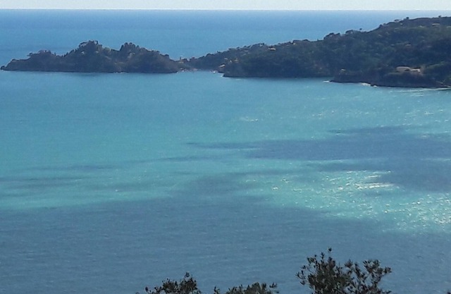 MER ET OLIVIERS PORTOFINO