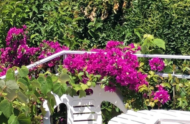 Mer, jardin, école de kite et détente. Vous pouvez tout choisir de vous. C4
