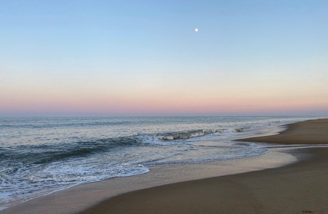 Sea La Vie - Côté Océan - À quelques pas de la plage