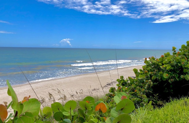 Sea Owl Suite 3, style Oceanfront et Serenity à Melbourne Beach!