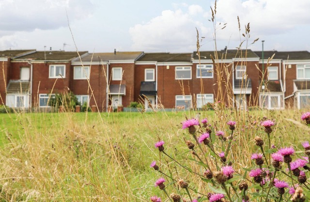 SEA VIEW COTTAGE, pet friendly, with a garden in South Shields