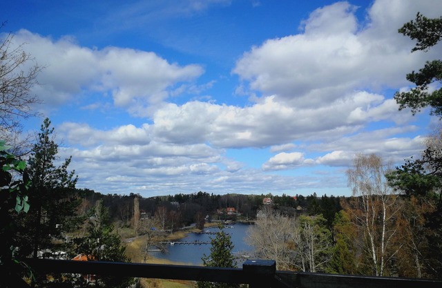 Cottage vue mer haut dans les arbres